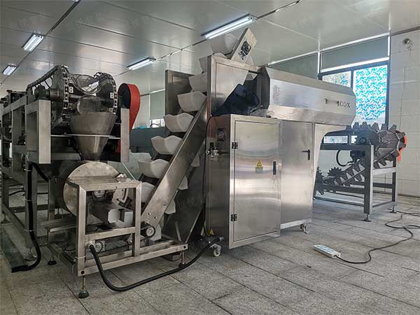 米線濕粉條包裝機(jī)，鮮濕粉專用